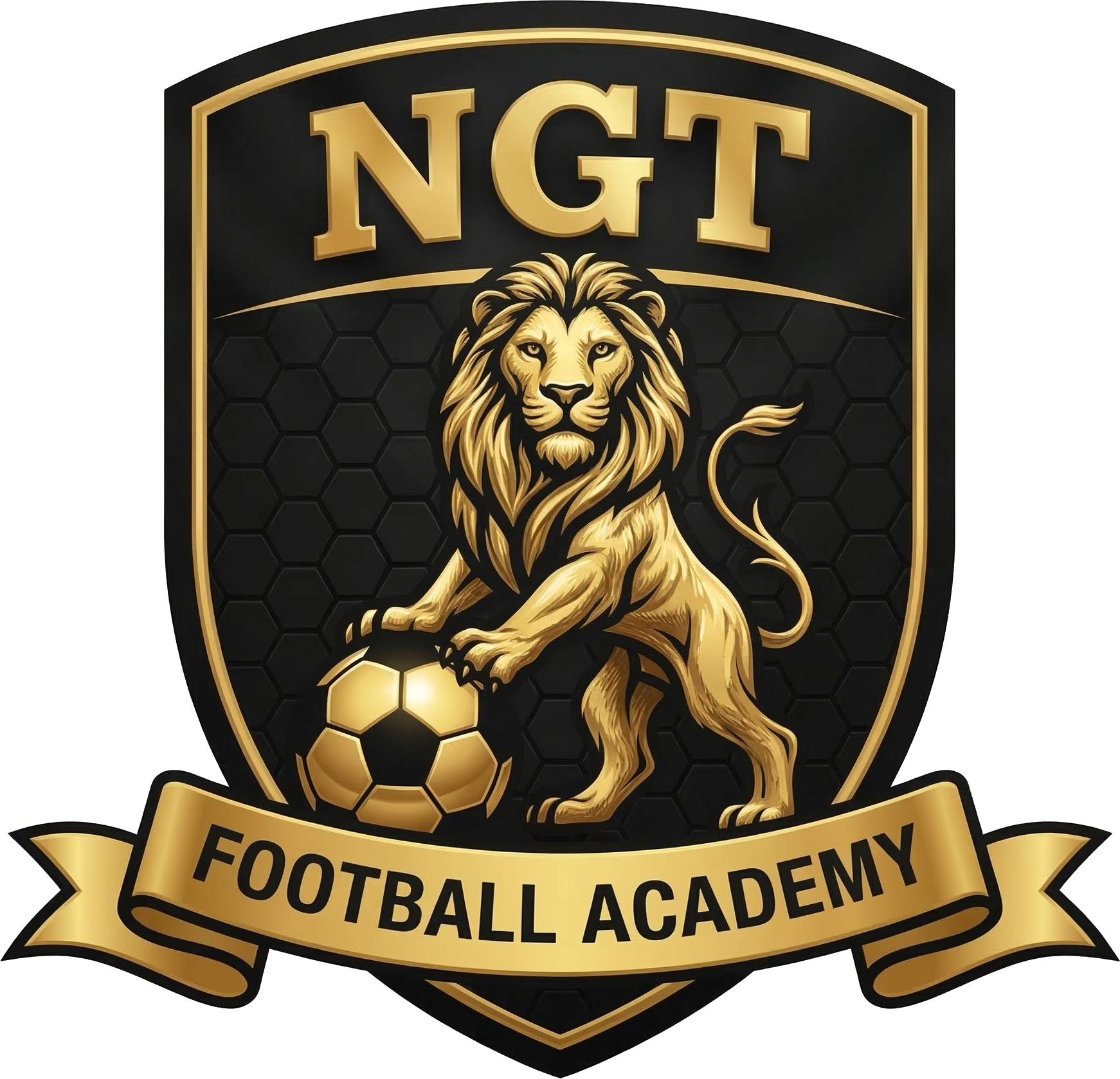 NGT Football Academy